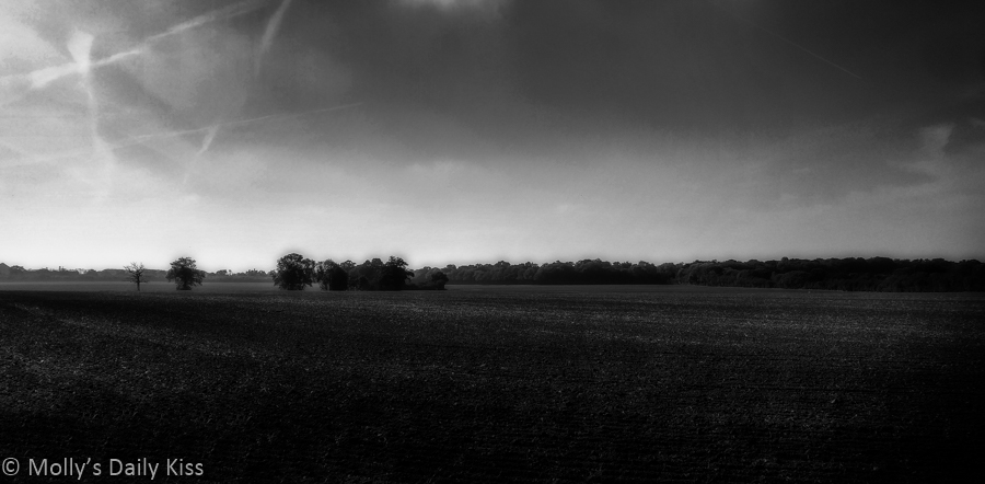 Black and white of ploughing field