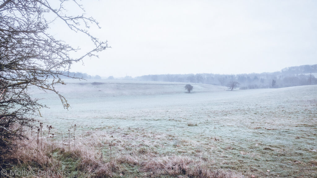 Cold white fields under frost in the morning