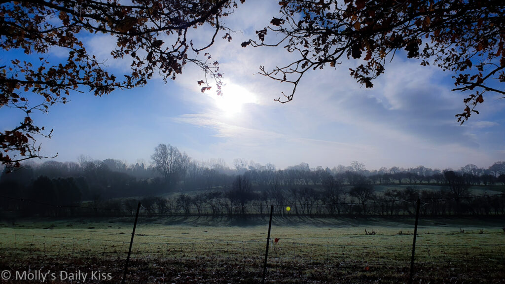 Frosty cold winter morning