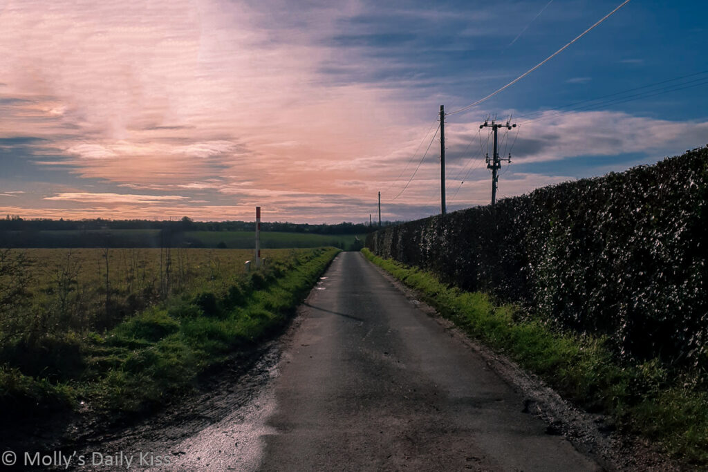 Looking down country lane to pink gilt sky sunset