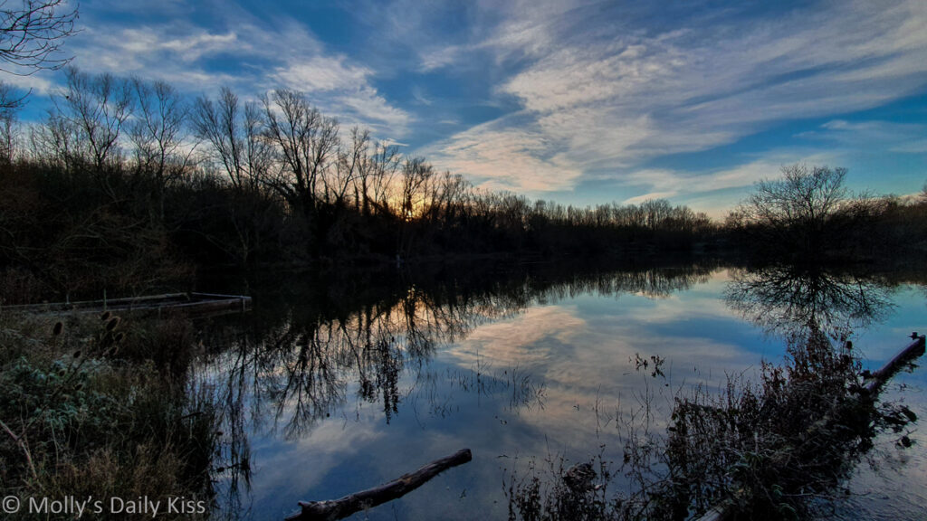 Winter blue skies reflected in pond