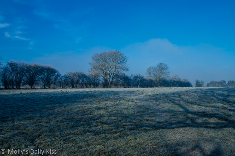 Blue sky on cold frosty morning