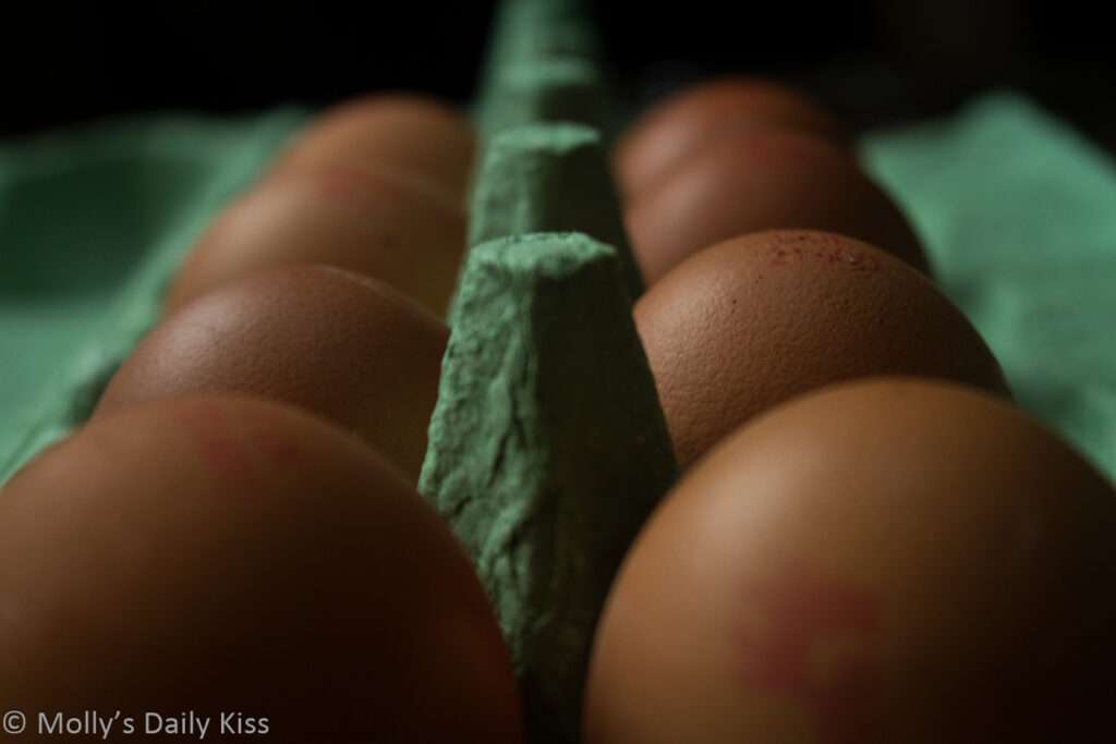 row of eggs in egg box must be handled with care