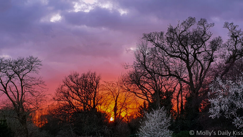Orange purple sunset sky