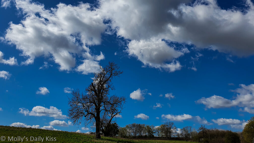 Blue heavens is spring blue sky with big white fluffy clouds