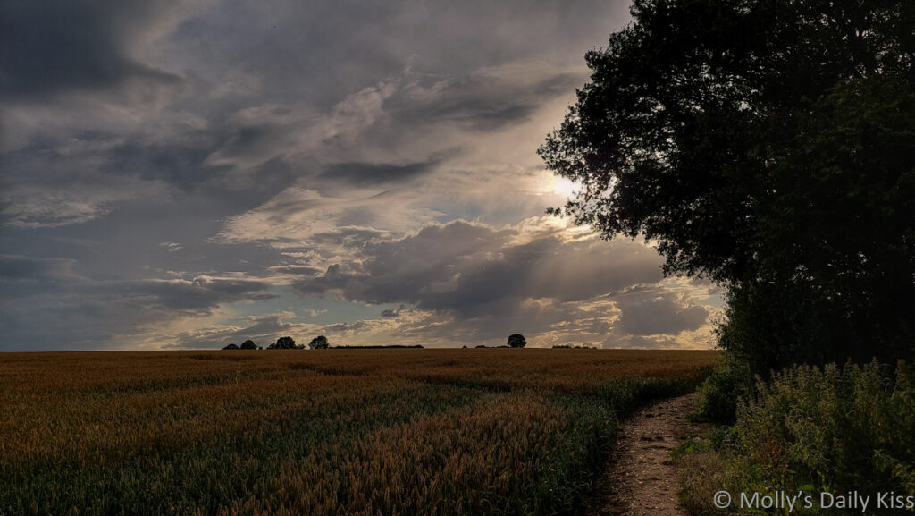 sun through clouds over wheat field