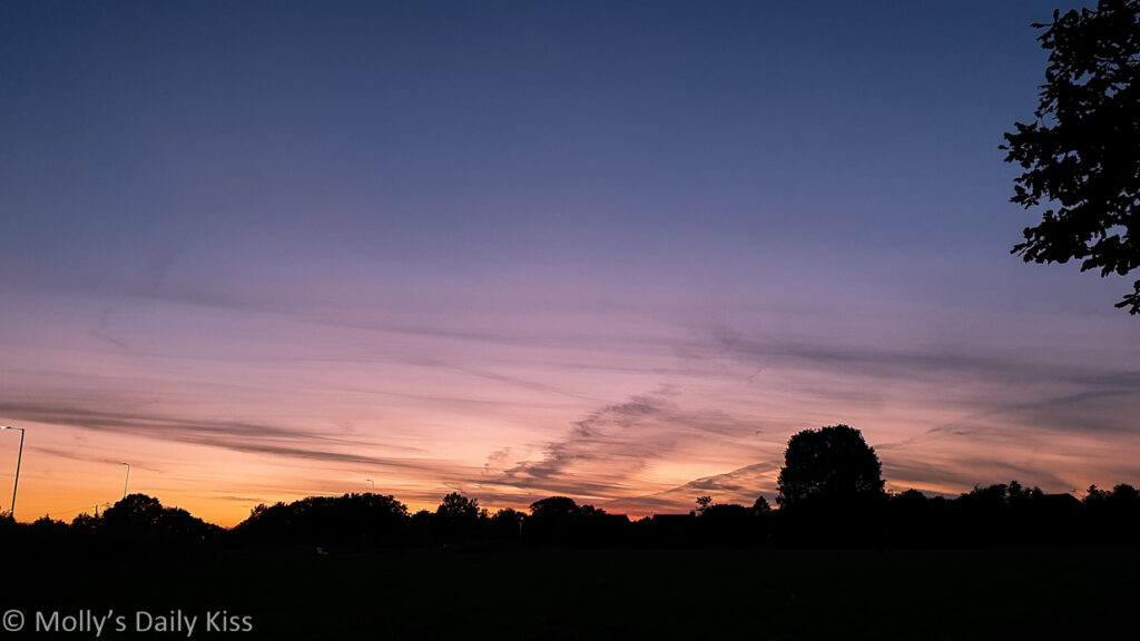 sunset over trees with whispy clouds against golden purple sky