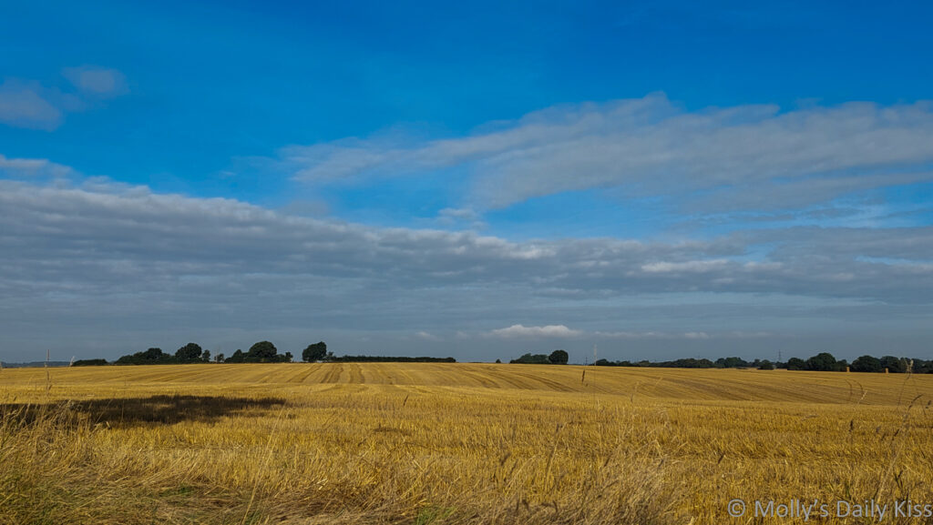 O Harvest a veiw across cut wheat fields to sky beyond