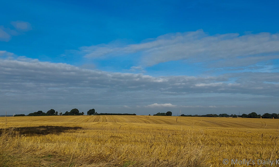 O Harvest a veiw across cut wheat fields to sky beyond