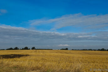O Harvest a veiw across cut wheat fields to sky beyond