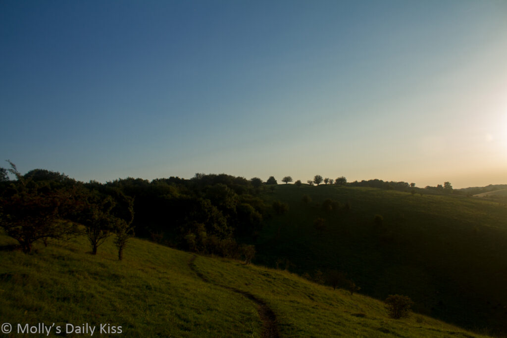Low sun over Pirton Down Hitchin with path and trees across the hills is balance and freedom