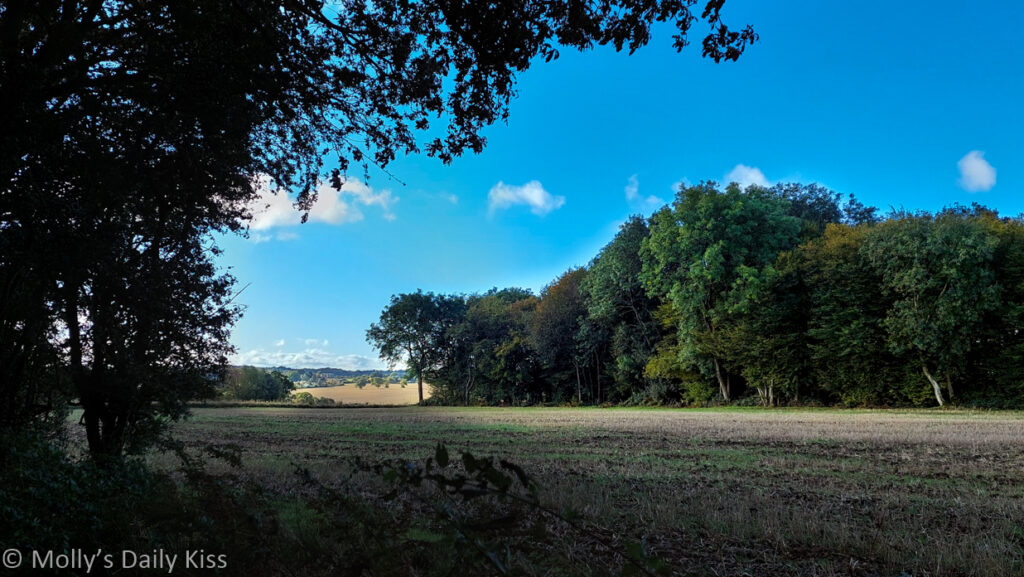 Blue sky over green and reds of autumn trees