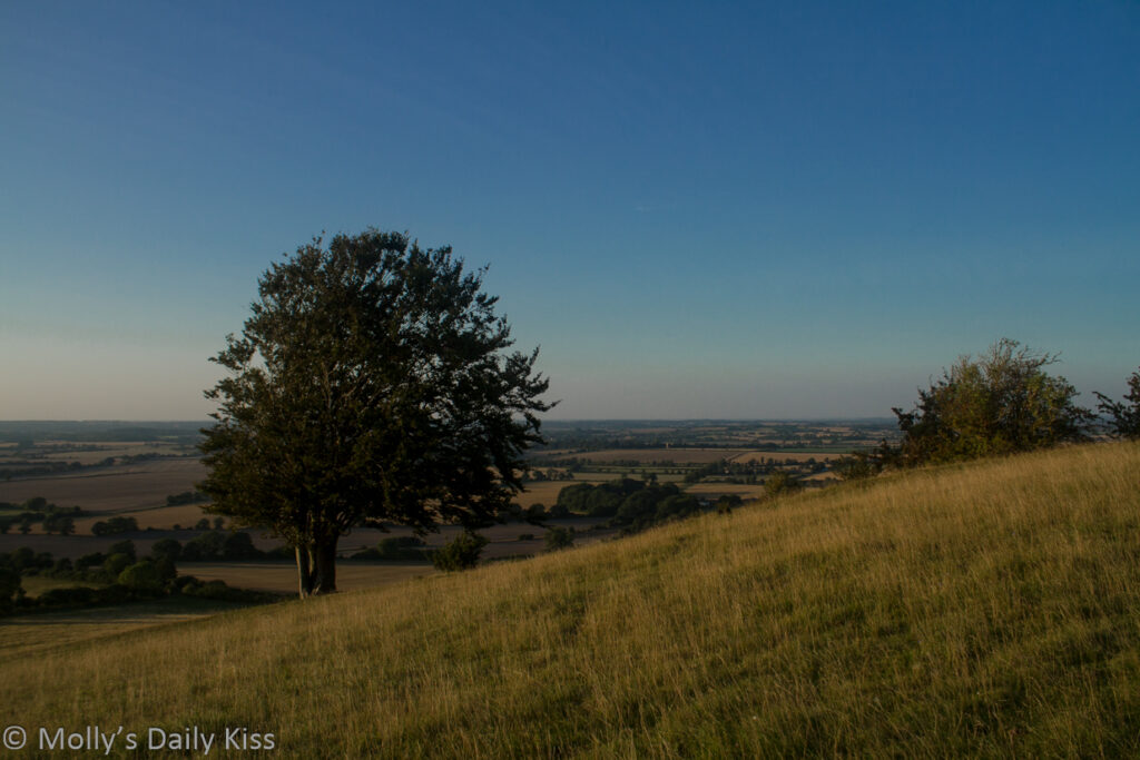 Looking out over Hertforshire countryside from Pegsdon Down