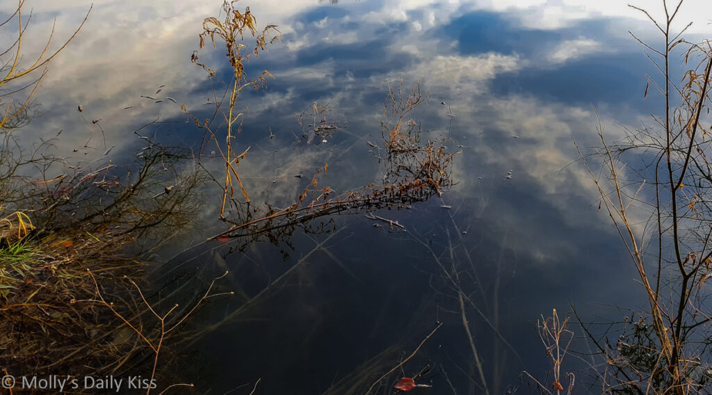 clouds floating in the water
