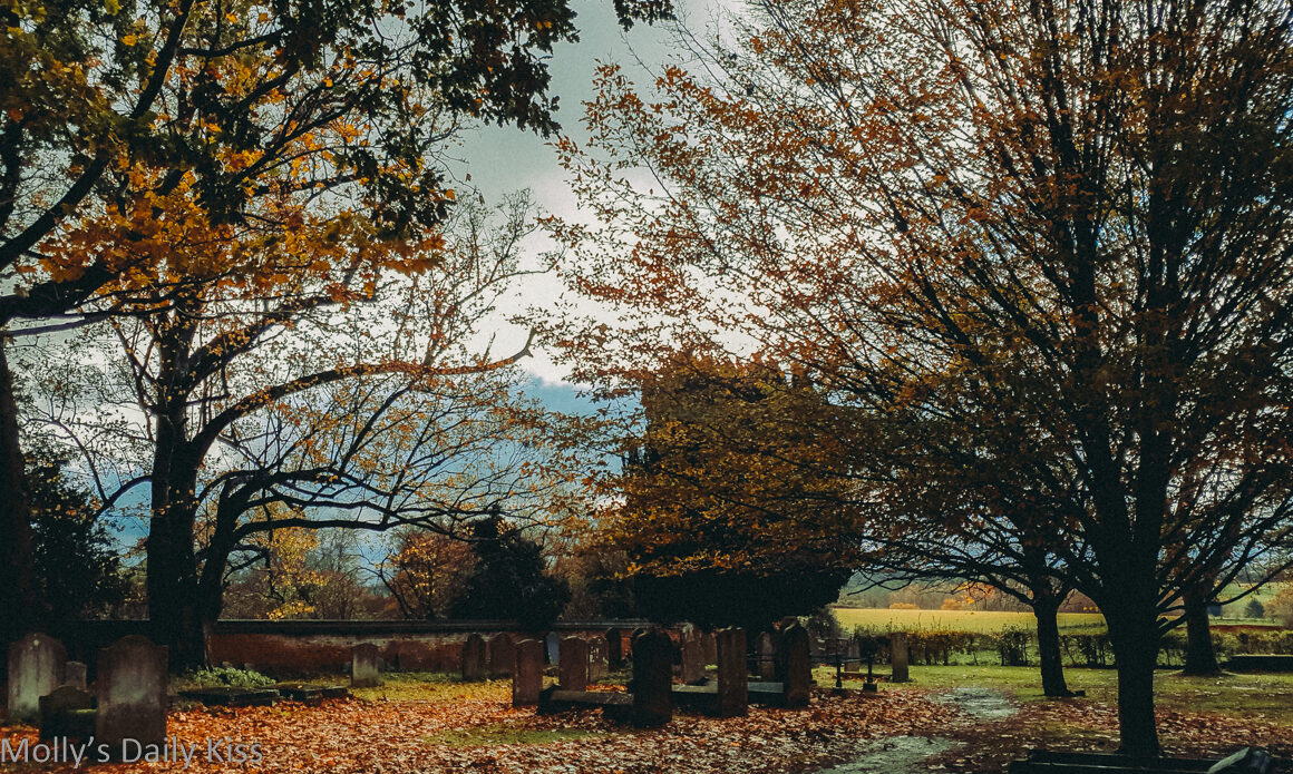 The Perpetual Peace of a gravewyard with autumn treess