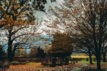 The Perpetual Peace of a gravewyard with autumn treess