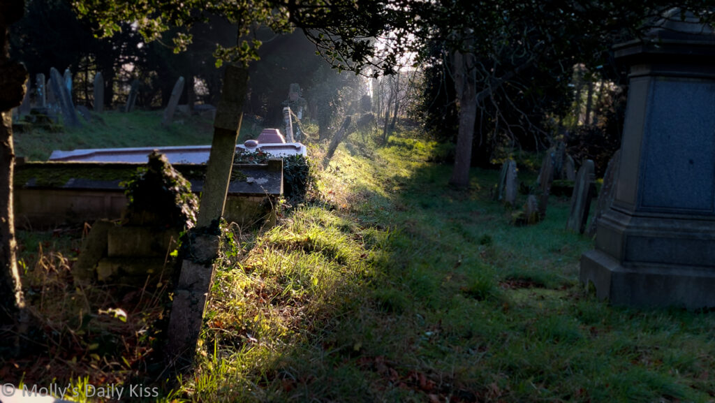 sunlight shining through winter graves full of graveyard folk