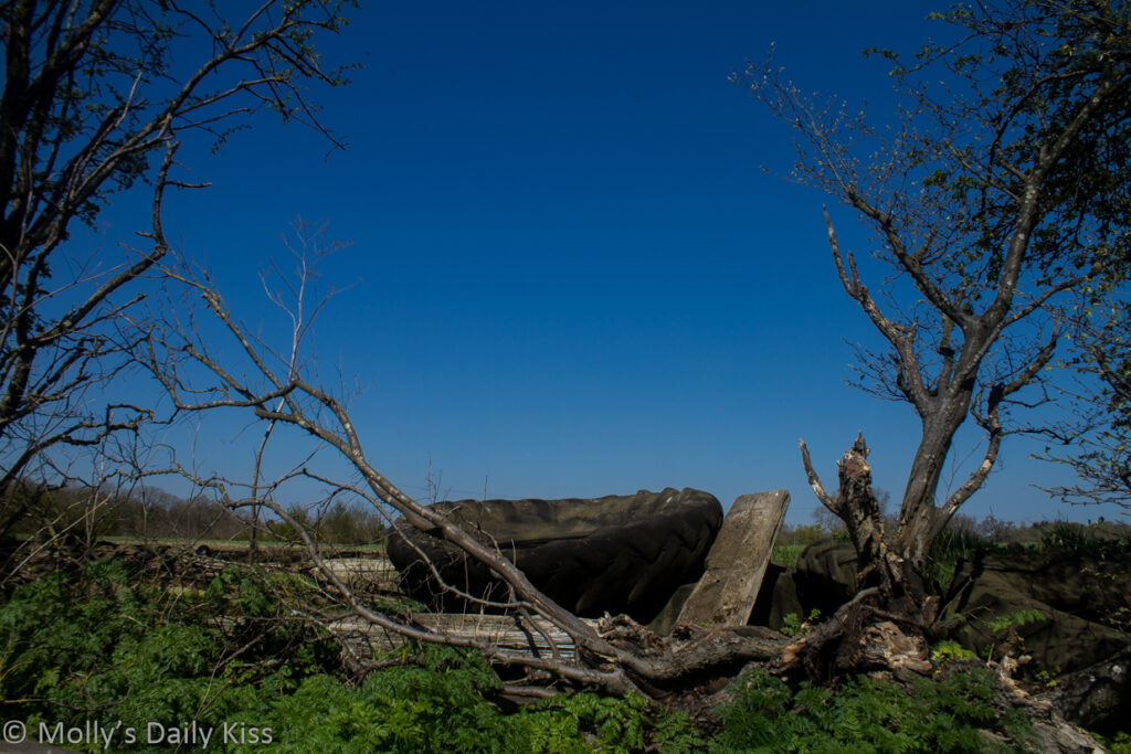 Abandoned tractor tyre in field against blue winter sky