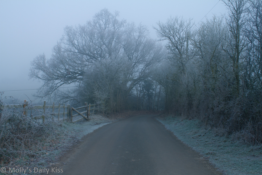 looking down country lane that is shrouded in cold blue winter mist and frost for the colour of winter