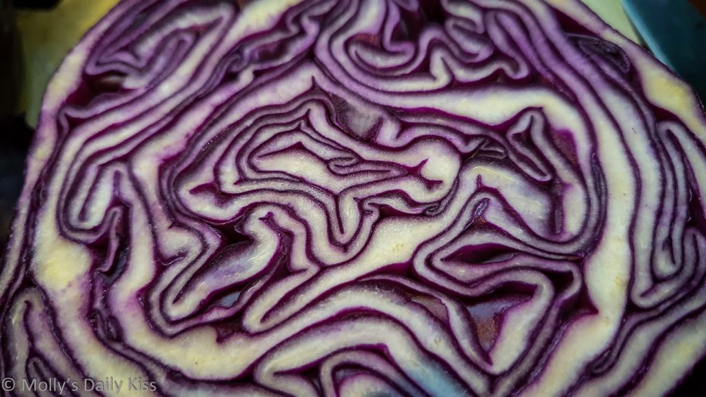Swirls of patterns inside red cabbage