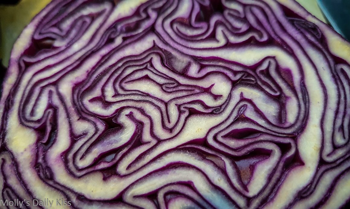 Swirls of patterns inside red cabbage