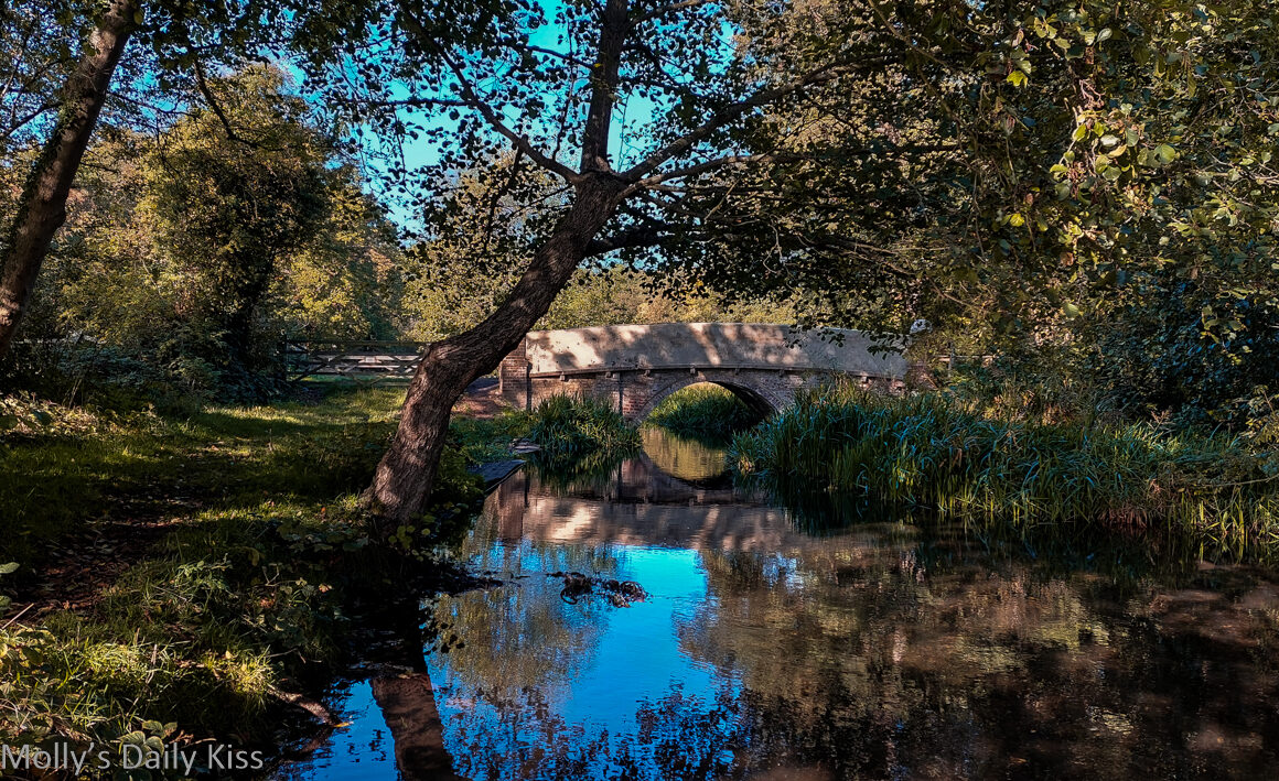 October Sunhine through trees with sky and small bridge reflected in river