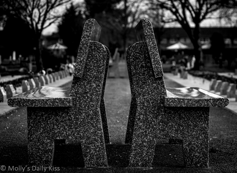 Two benches back to back in black and white