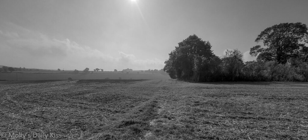 Black and white of Misty morn over autumn fields with sun shining through mist is pomp of autumn
