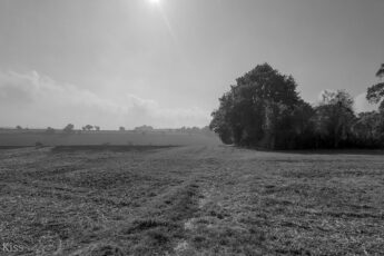 Black and white of Misty morn over autumn fields with sun shining through mist is pomp of autumn